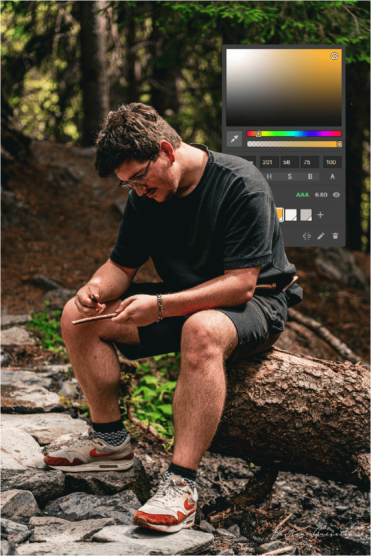 Malik Bouteuil - Color picker en forêt